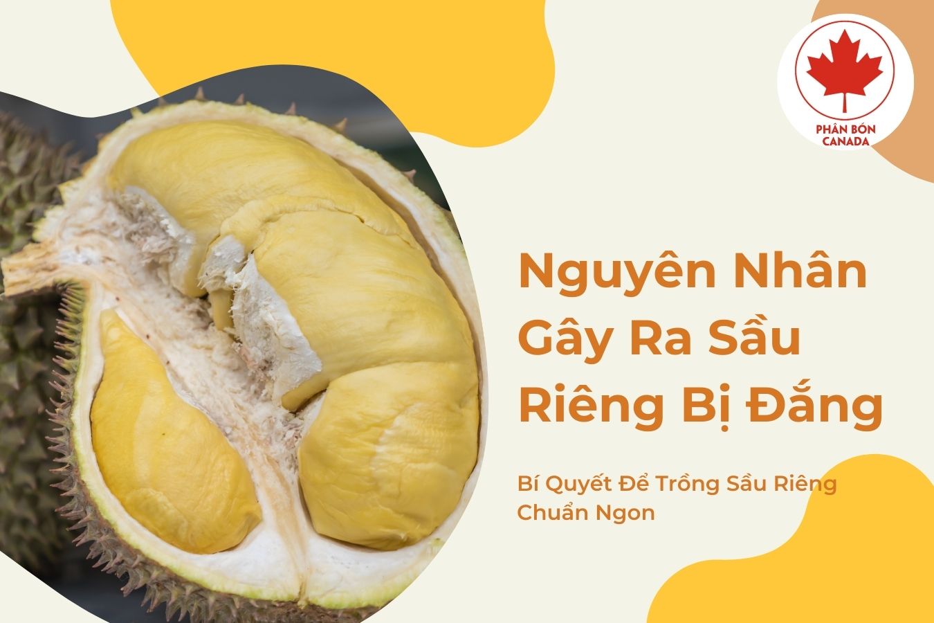 Xử lý vấn đề do rối loạn chất dinh dưỡng